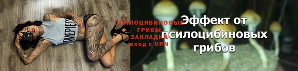 гашик Алзамай