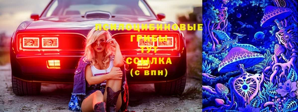ПСИЛОЦИБИНОВЫЕ ГРИБЫ Алексин