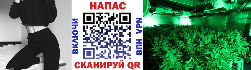 Канабис Bruce Banner  darknet клад  Дрезна 